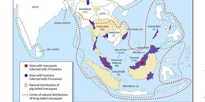 Bản đồ của malaysia sốt rét